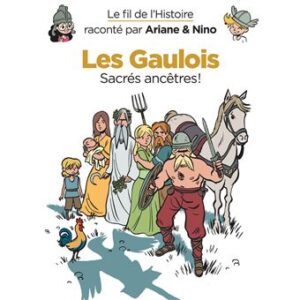 Le-fil-de-l-Histoire-raconte-par-Ariane-Nino-Les-Gaulois